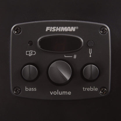 Fender Artist Joe Strummer Campfire Matte Black Acoustic Guitars / Parlor