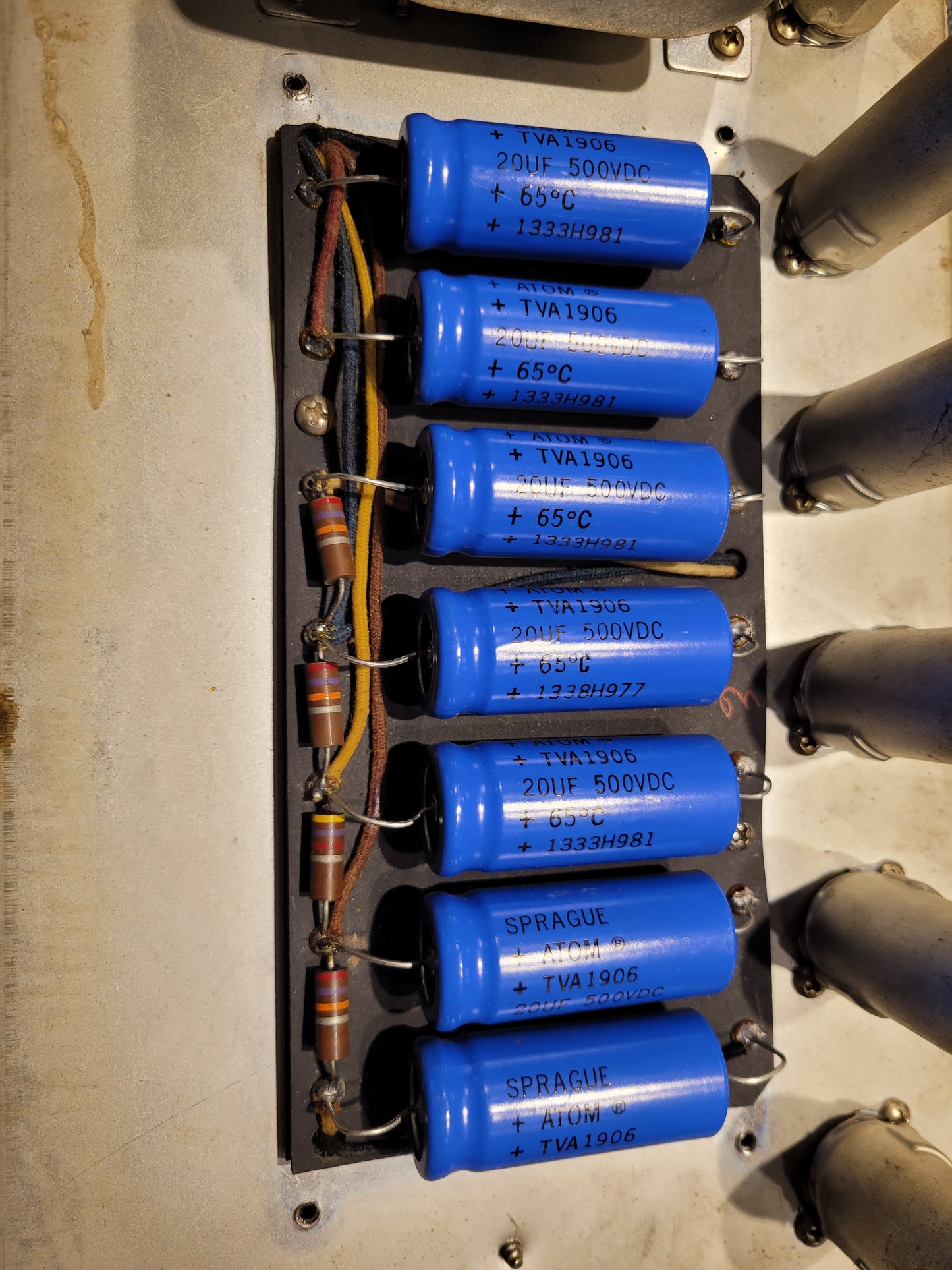 Fender Concert  1961 Amps / Guitar Amps / Guitar Combos