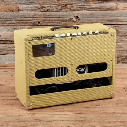 Fender Blues Deluxe Reissue 2-Channel 40-Watt 1x12" Guitar Combo Amps / Guitar Cabinets