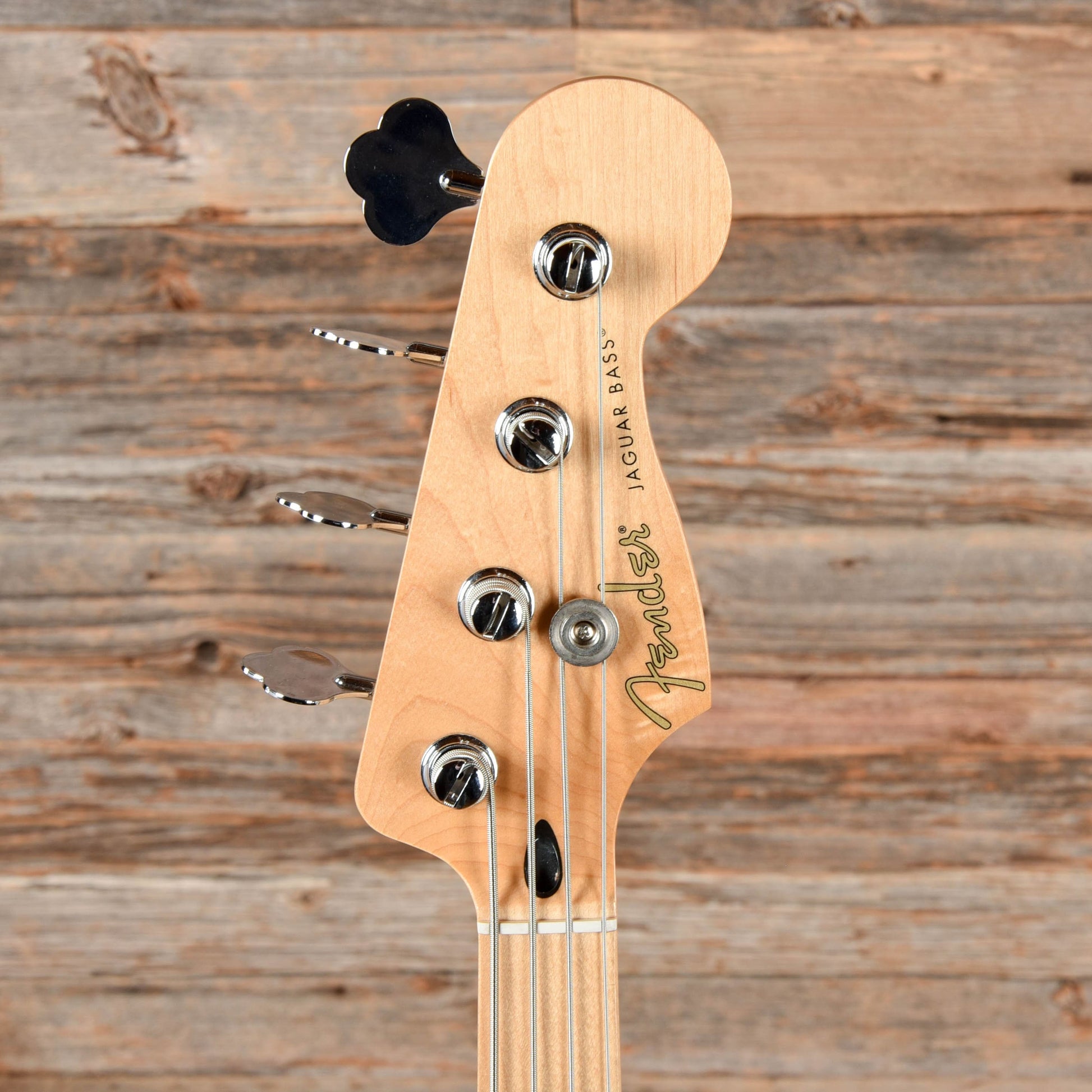 Fender Player Jaguar Bass Tidepool 2020 Bass Guitars / 4-String