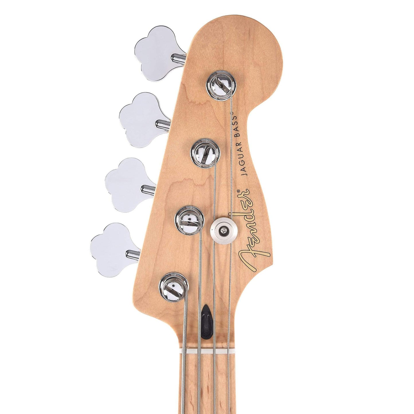 Fender Player Jaguar Bass Tidepool Bundle w/Fender Gig Bag, Stand, Cable, Tuner, Picks and Strings Bass Guitars / 4-String