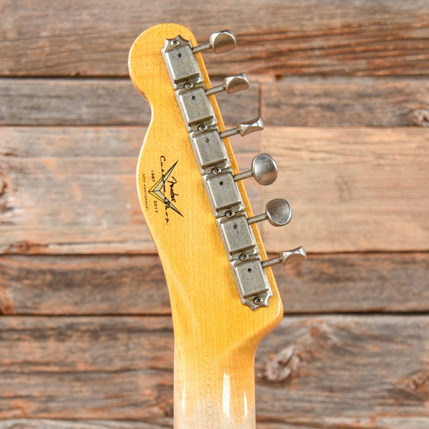 Fender Custom Shop Limited Edition '50s Telecaster Thinline Relic Pink Paisley 2017 Electric Guitars / Semi-Hollow