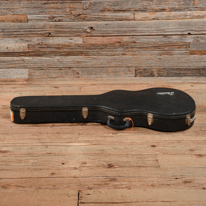 Fender Starcaster Natural 1976 Electric Guitars / Semi-Hollow