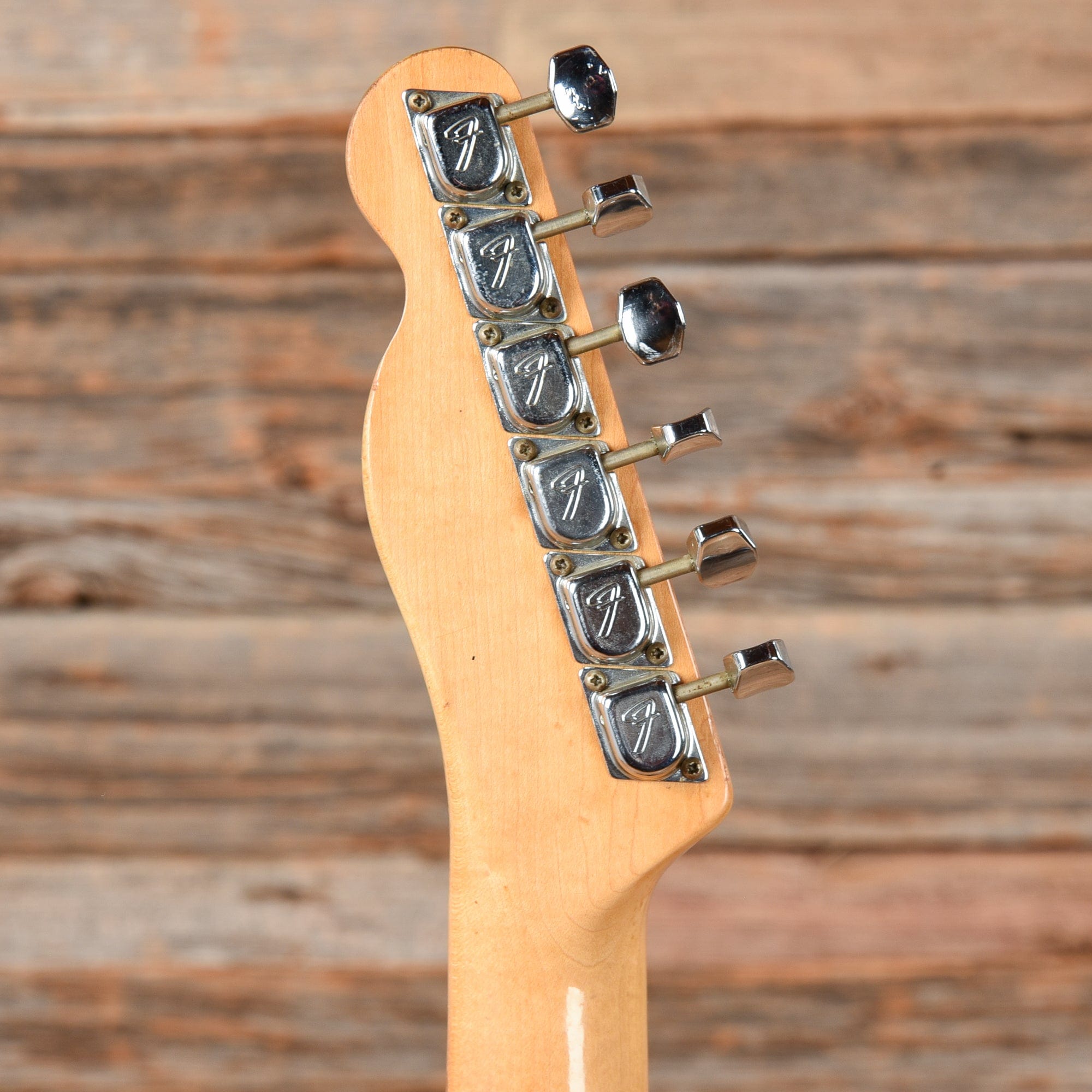 Fender Telecaster Thinline Mocha 1973 Electric Guitars / Semi-Hollow