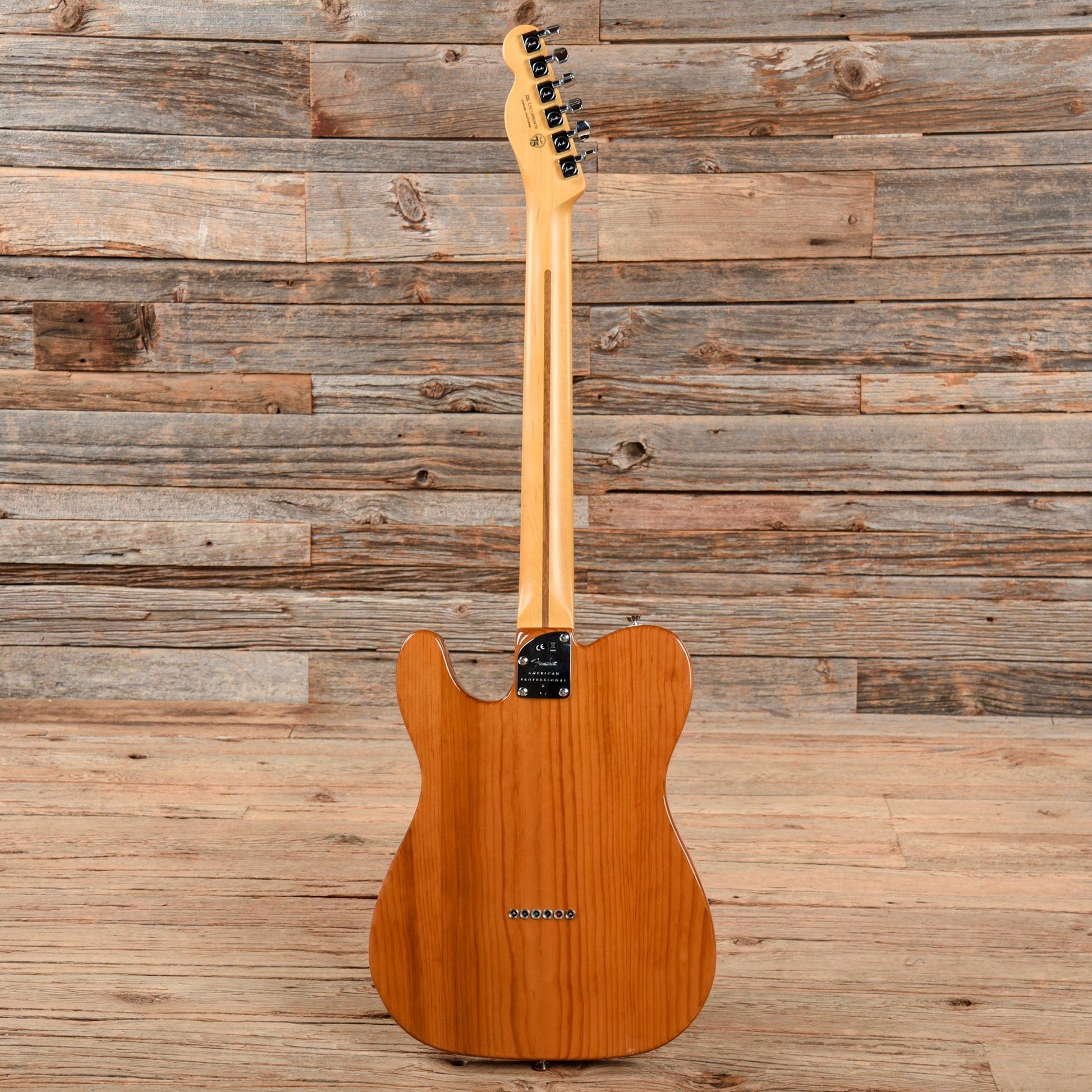 Fender American Pro II Telecaster Roasted Pine 2021 Electric Guitars / Solid Body
