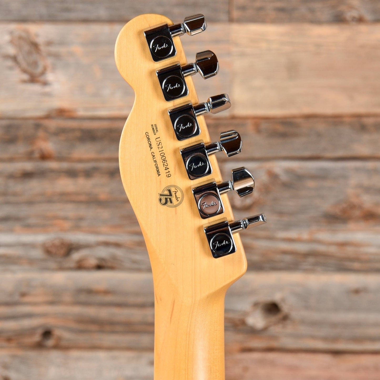 Fender American Pro II Telecaster Roasted Pine 2021 Electric Guitars / Solid Body