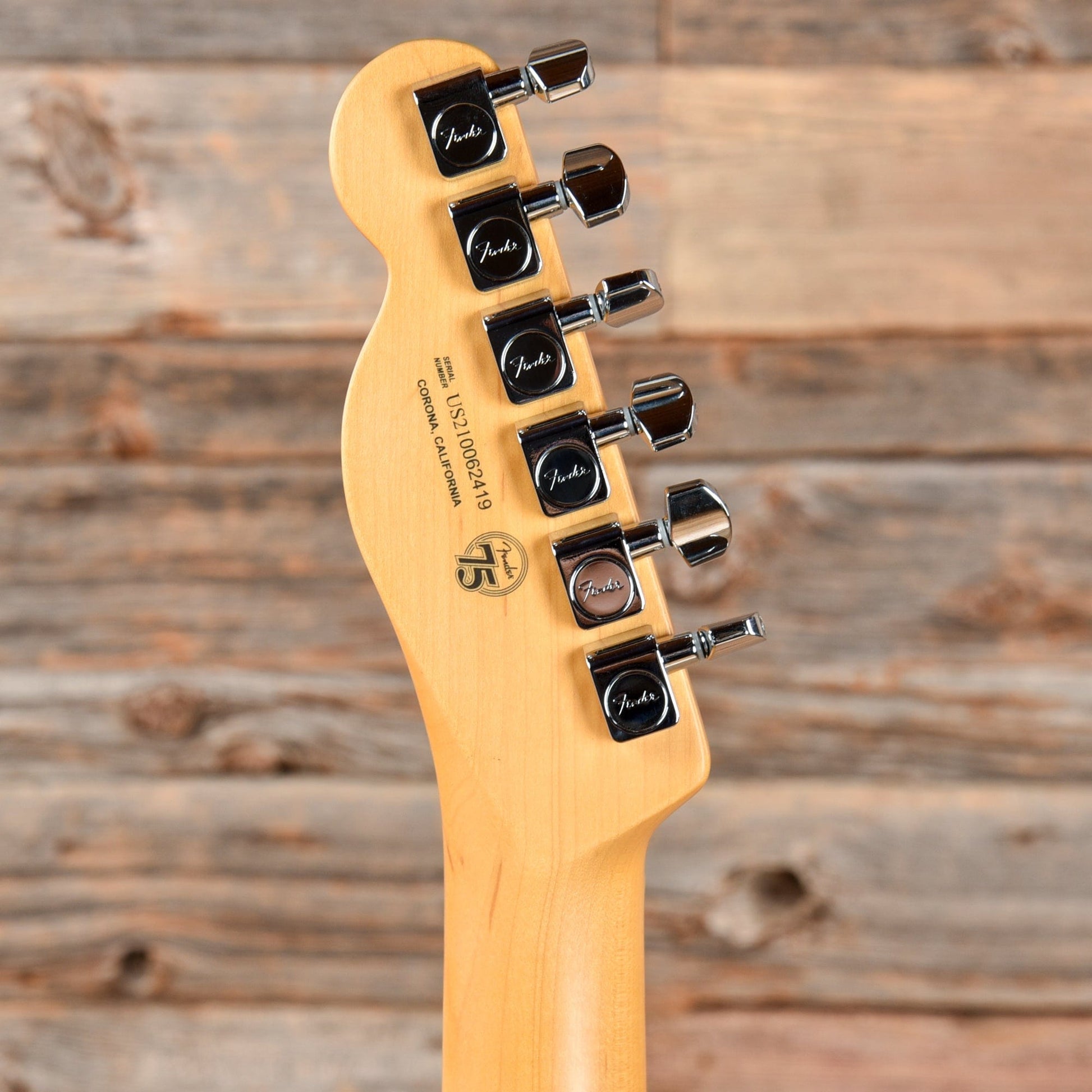 Fender American Pro II Telecaster Roasted Pine 2021 Electric Guitars / Solid Body