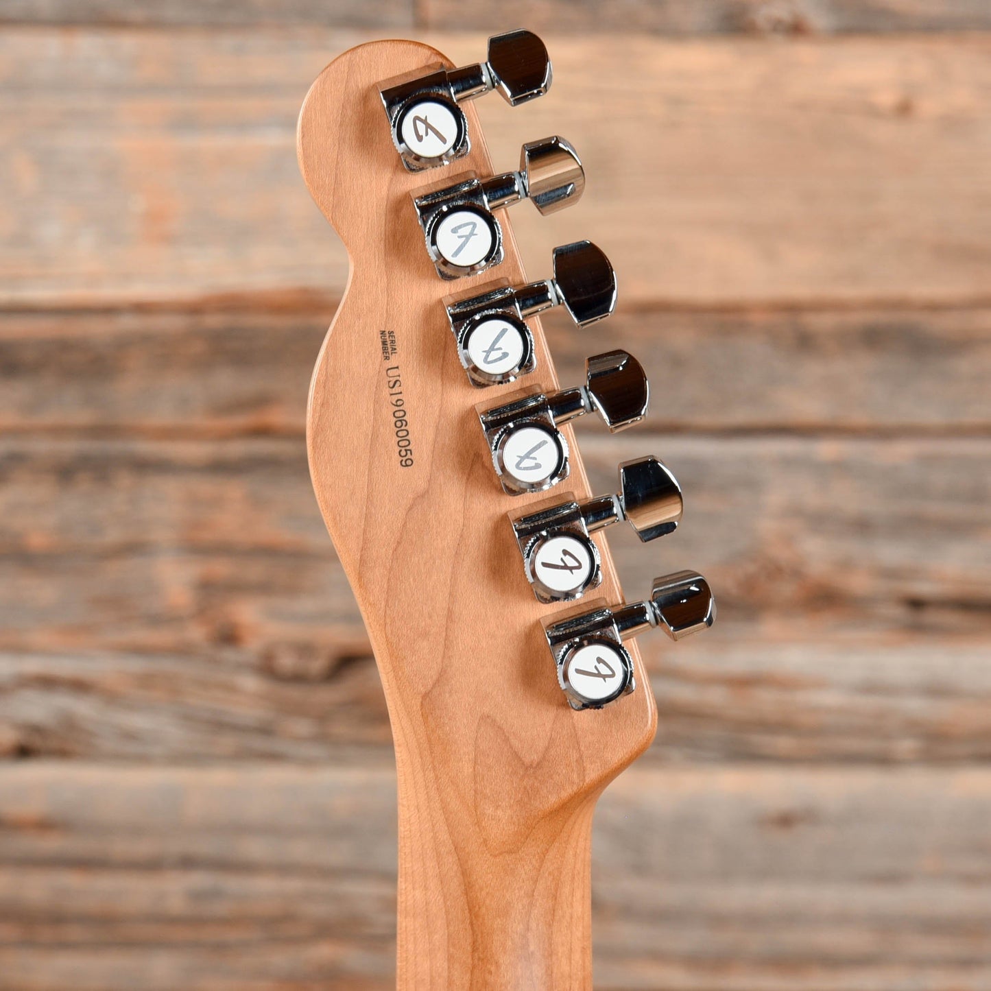 Fender American Pro Telecaster with Roasted Maple Neck Sapphire Blue Electric Guitars / Solid Body