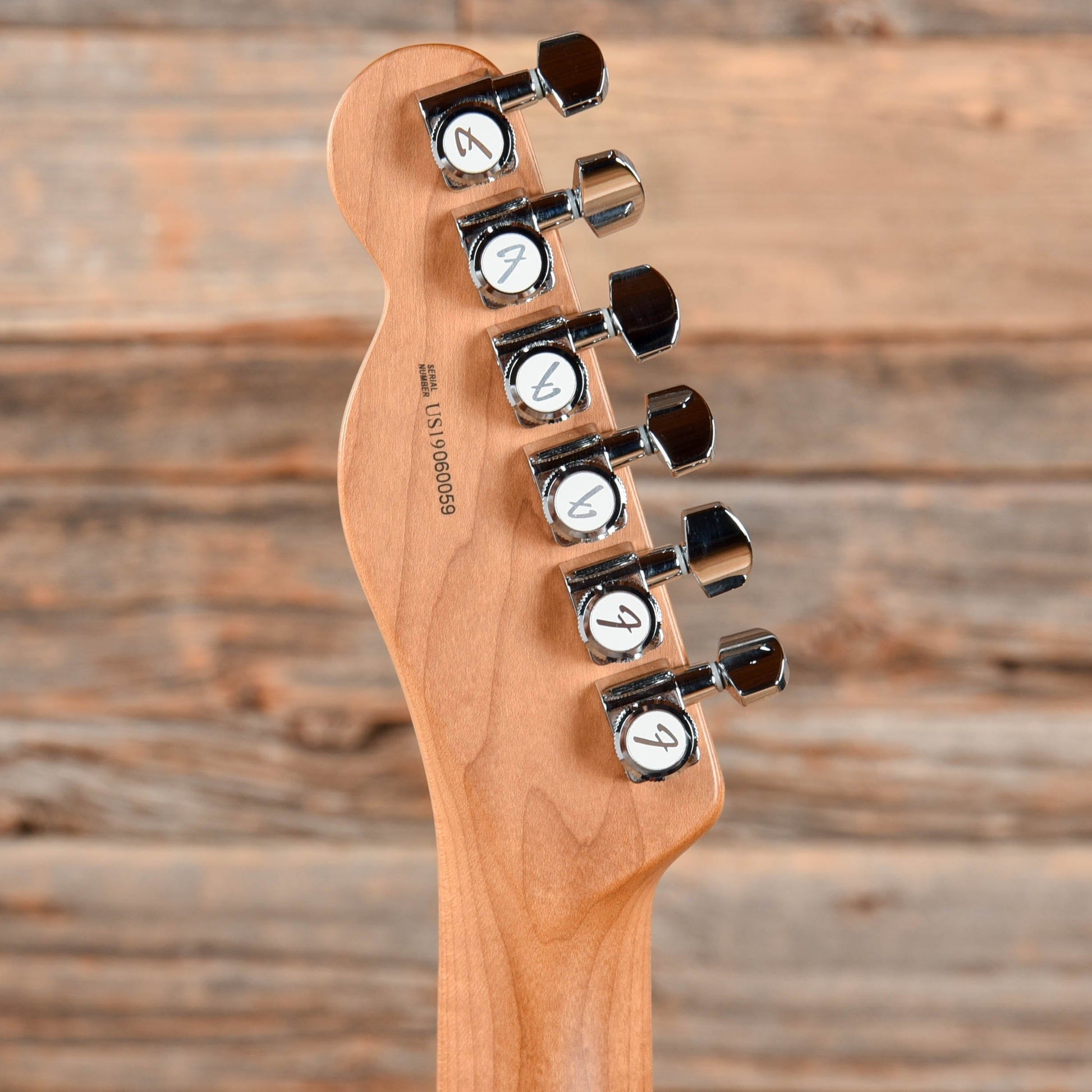 Fender American Pro Telecaster with Roasted Maple Neck Sapphire Blue Electric Guitars / Solid Body