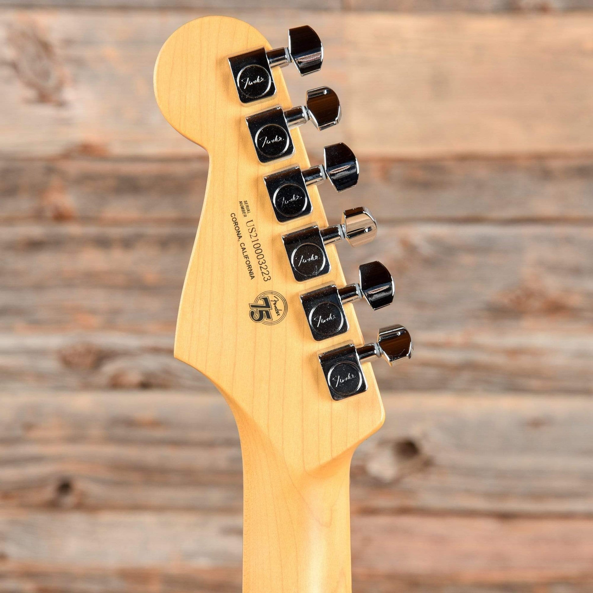 Fender American Professional II Stratocaster Roasted Pine 2021 Electric Guitars / Solid Body