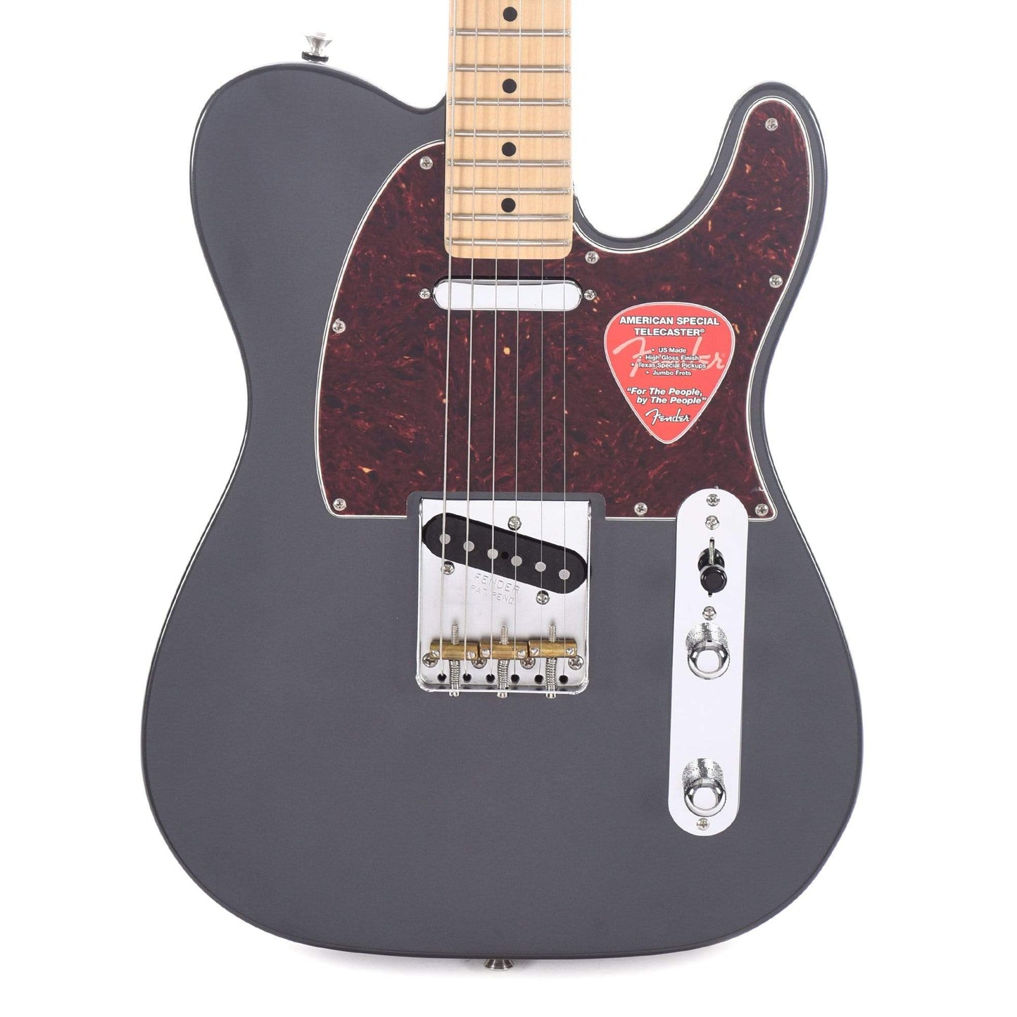 Fender American Special Telecaster Charcoal Frost Limited Edition w/3-Ply Tortoise Pickguard Electric Guitars / Solid Body