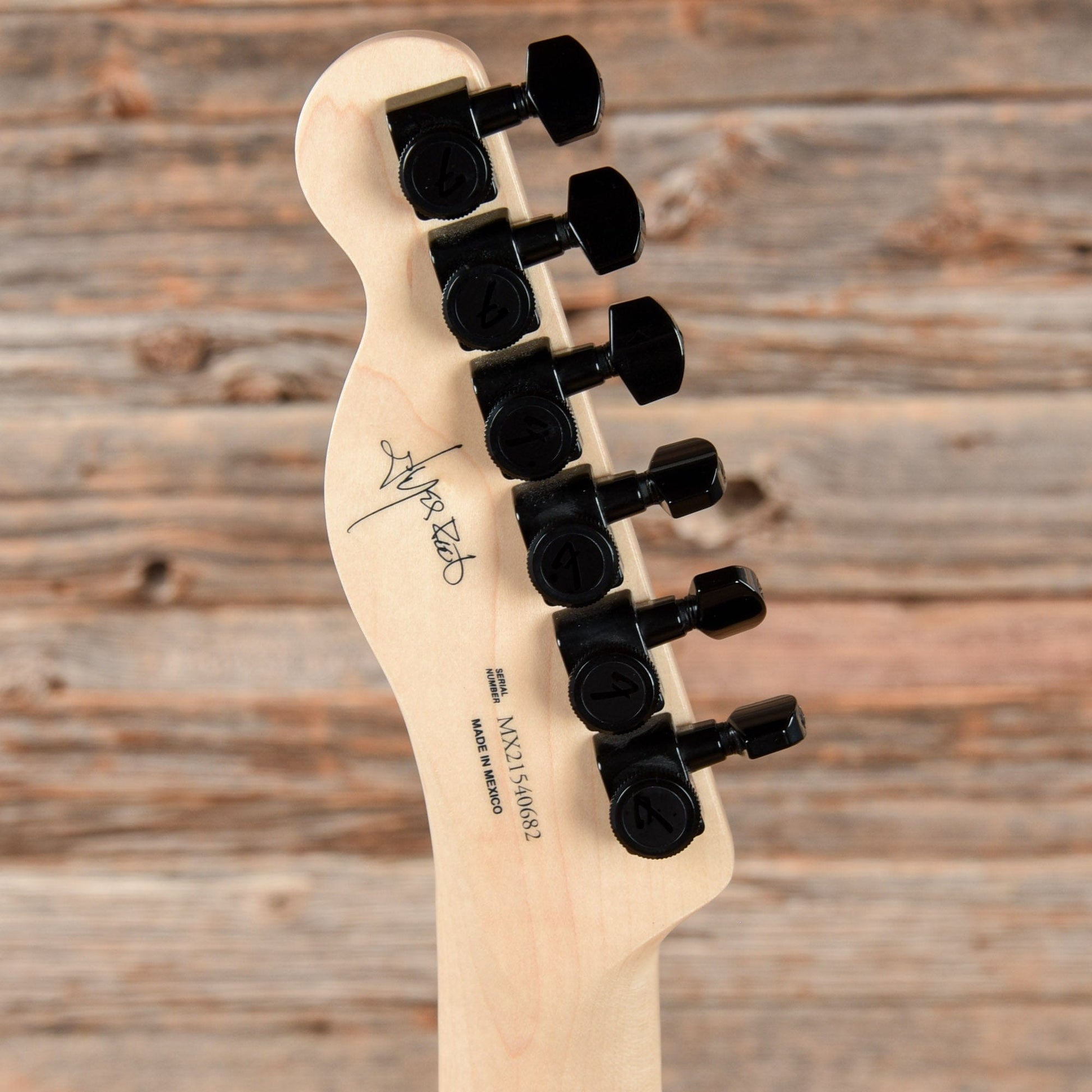 Fender Artist Jim Root Telecaster Flat White 2021 Electric Guitars / Solid Body