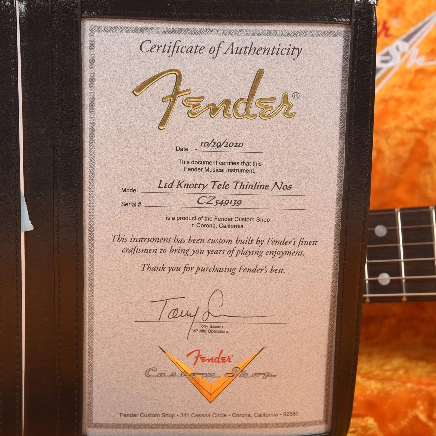 Fender Custom Shop Limited Edition Knotty Pine Telecaster Thinline NOS Aged Natural Electric Guitars / Solid Body