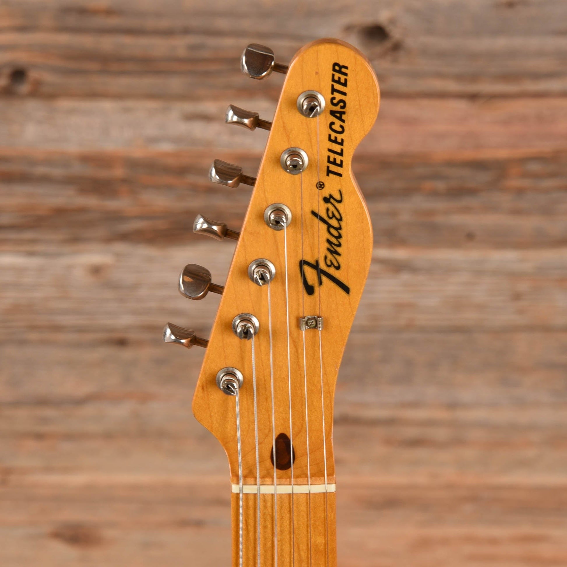 Fender Japan '69 Telecaster Blue Floral  1980s Electric Guitars / Solid Body