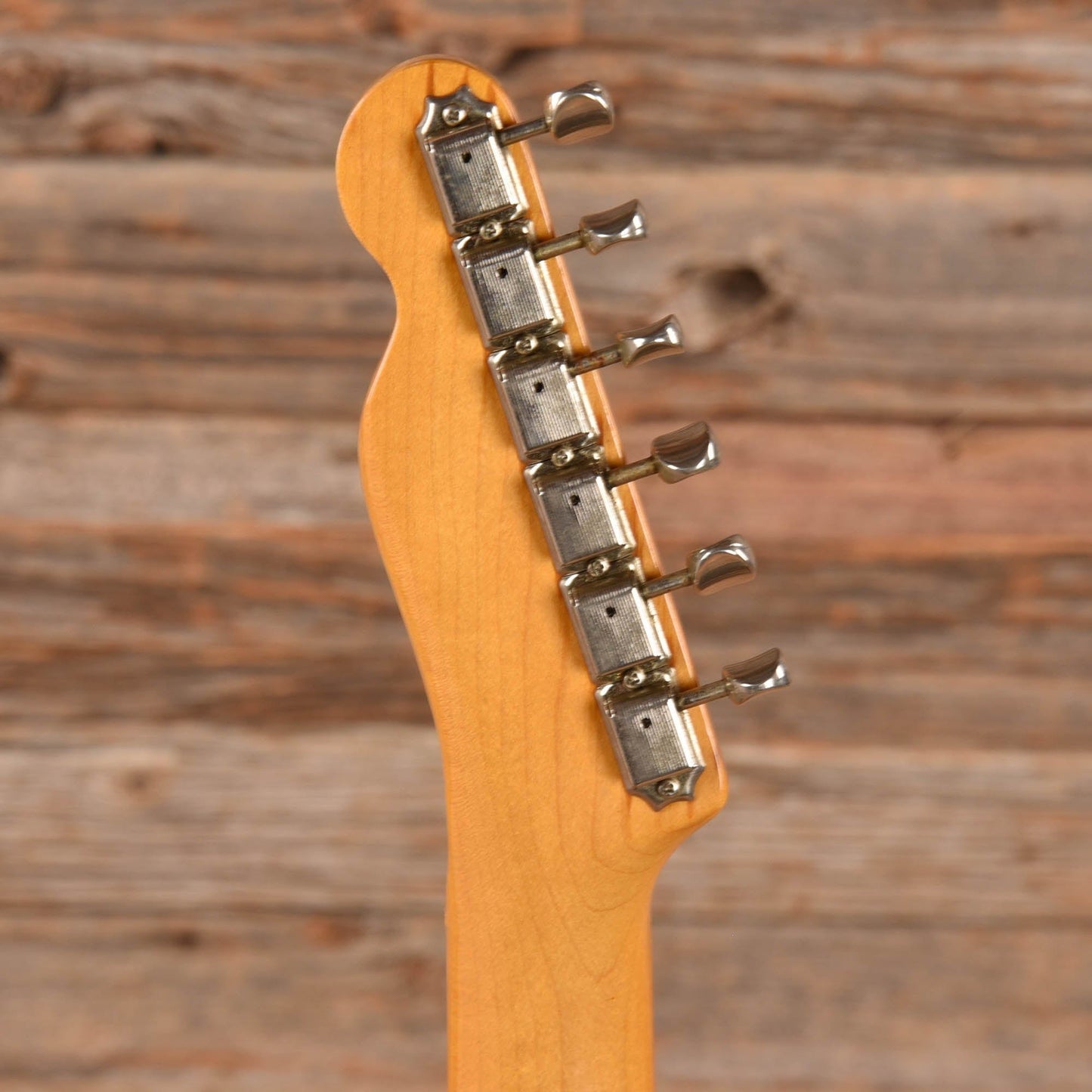 Fender Japan '69 Telecaster Blue Floral  1980s Electric Guitars / Solid Body