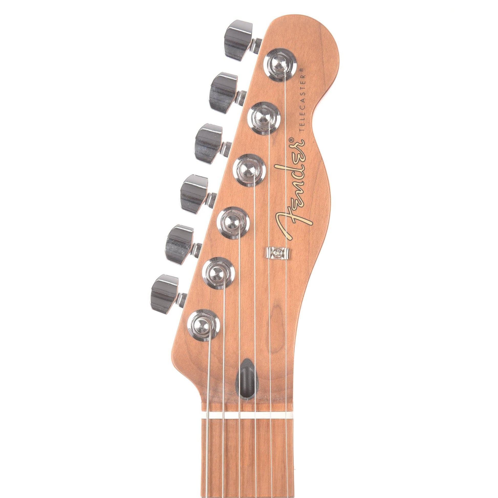 Fender Limited Edition Player Telecaster Butterscotch Blonde w/Roasted Maple Neck Electric Guitars / Solid Body