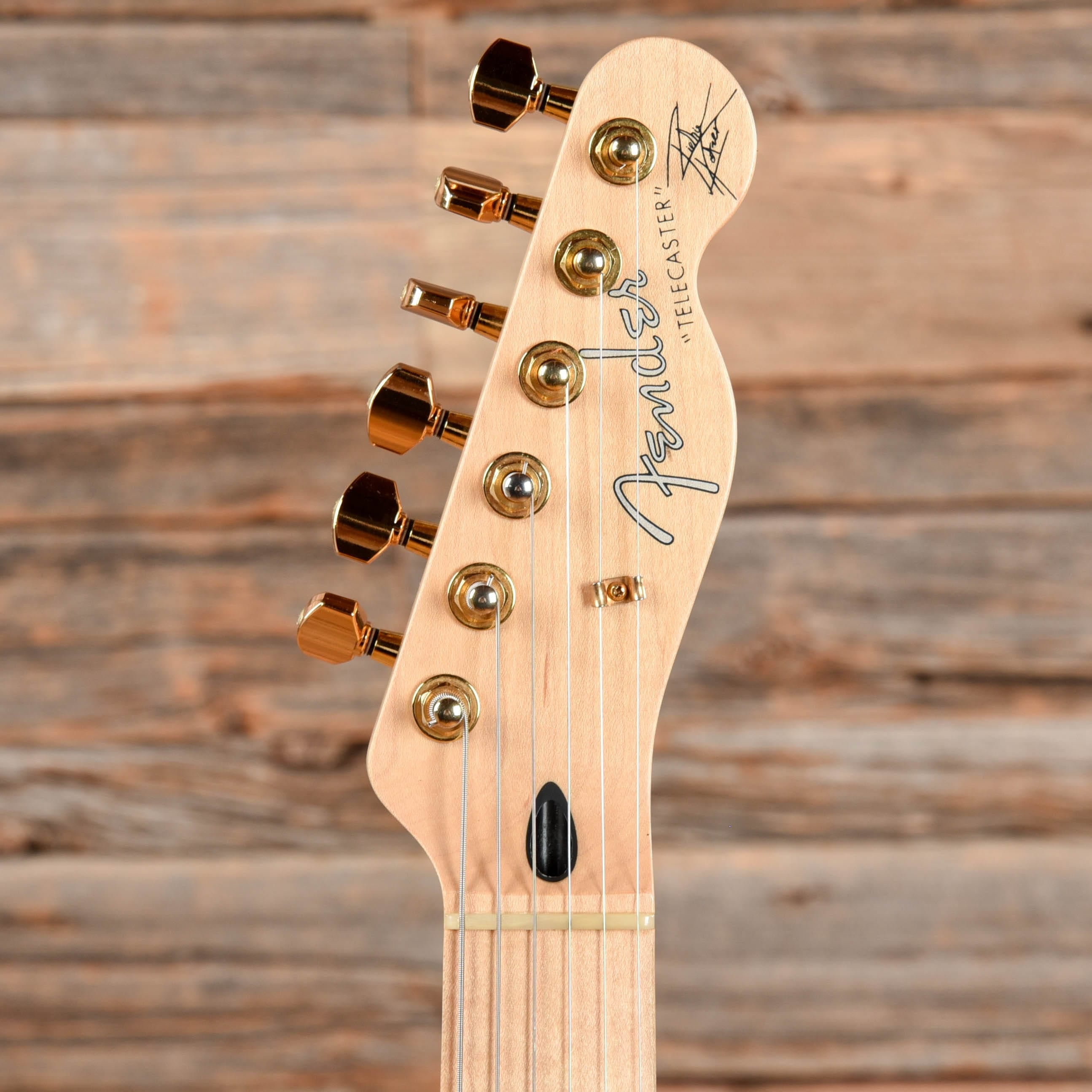 Fender Richie Kotzen Signature Telecaster Brown Sunburst 2014 Electric Guitars / Solid Body