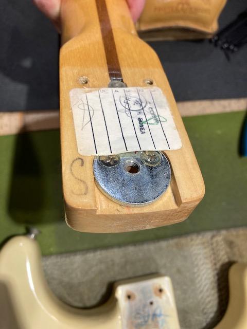 Fender Stratocaster Olympic White 1981 Electric Guitars / Solid Body