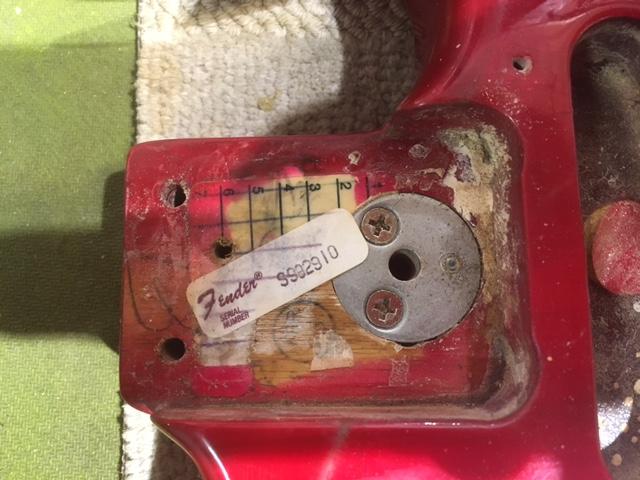 Fender Stratocaster Transparent Red 1981 Electric Guitars / Solid Body