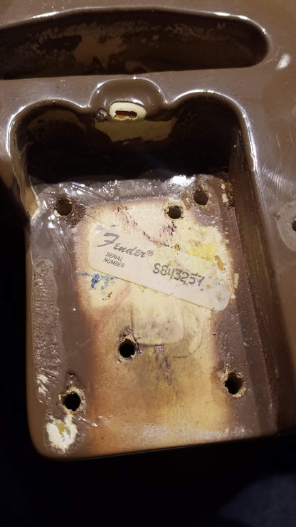 Fender Telecaster Sahara Taupe 1981 Electric Guitars / Solid Body