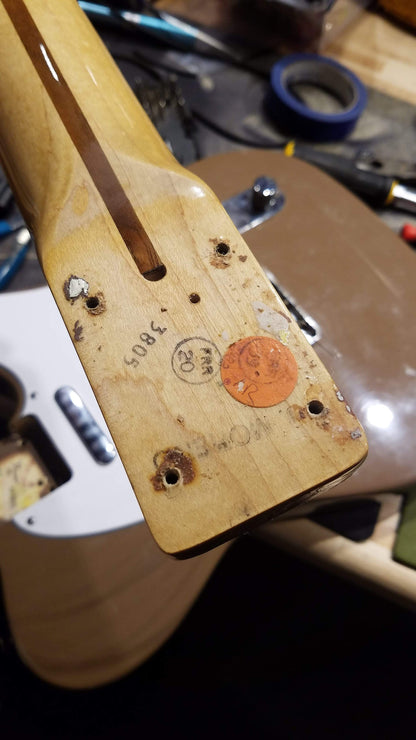 Fender Telecaster Sahara Taupe 1981 Electric Guitars / Solid Body