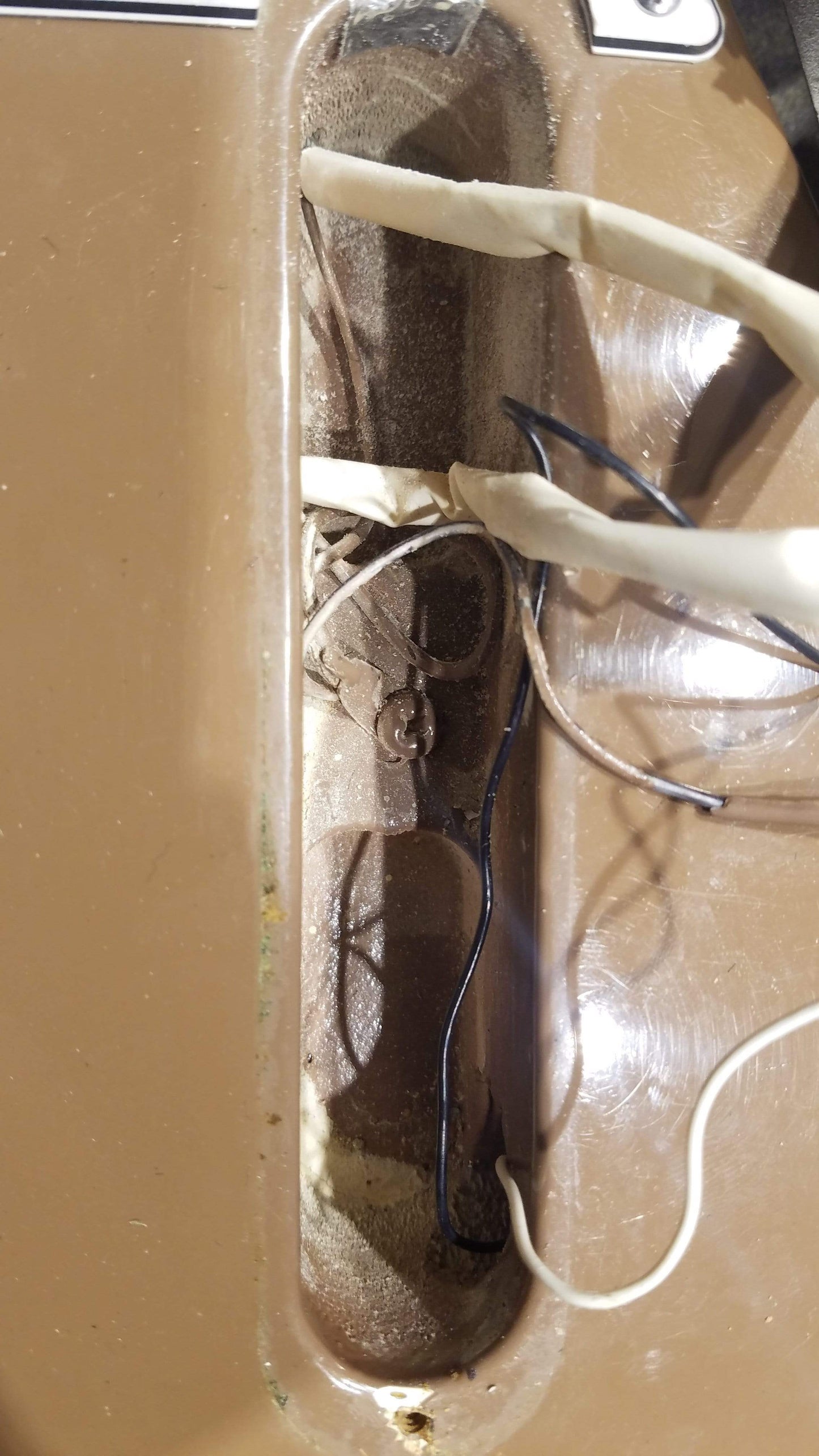 Fender Telecaster Sahara Taupe 1981 Electric Guitars / Solid Body