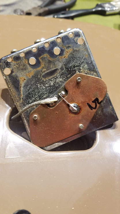 Fender Telecaster Sahara Taupe 1981 Electric Guitars / Solid Body