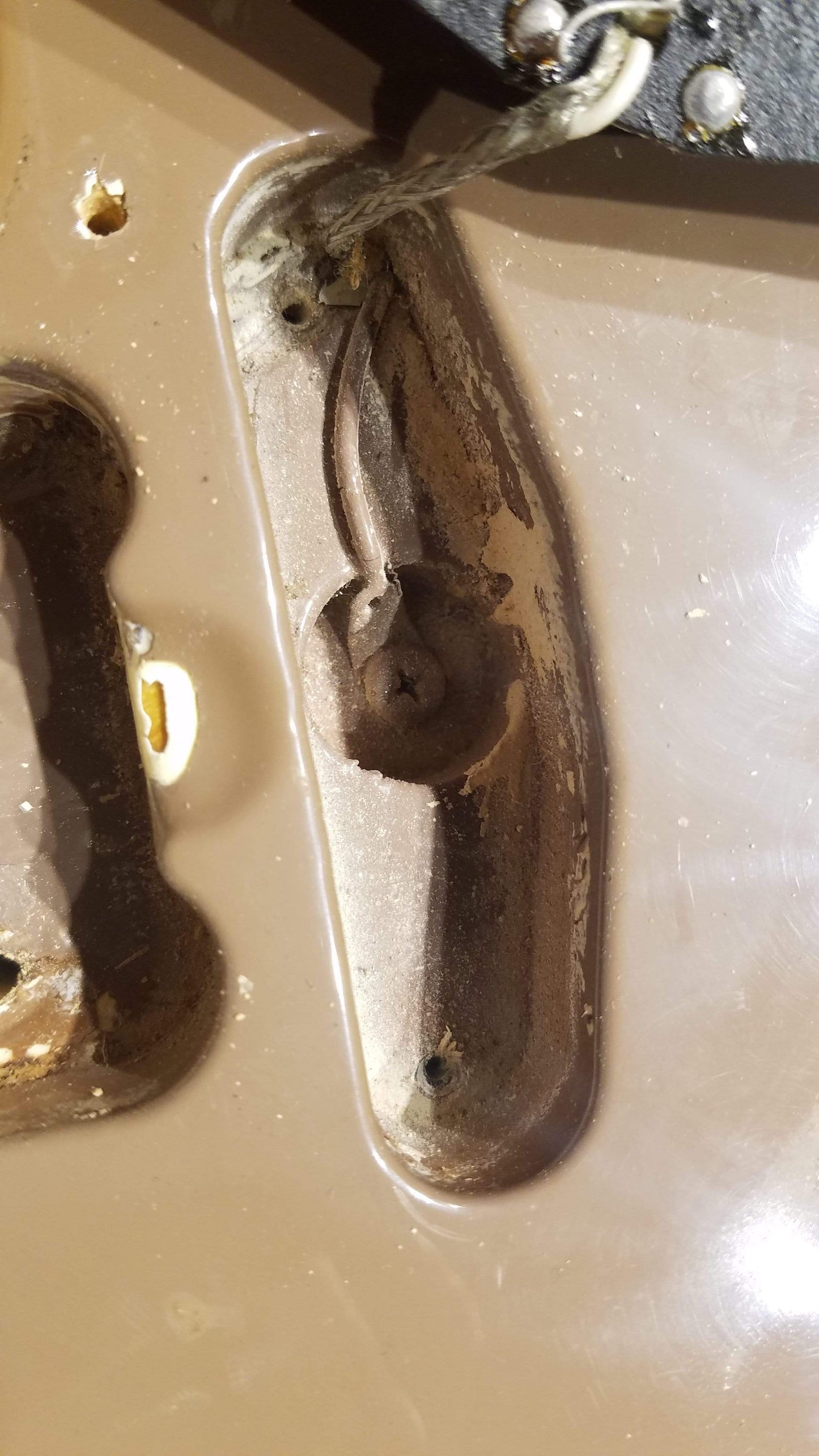 Fender Telecaster Sahara Taupe 1981 Electric Guitars / Solid Body