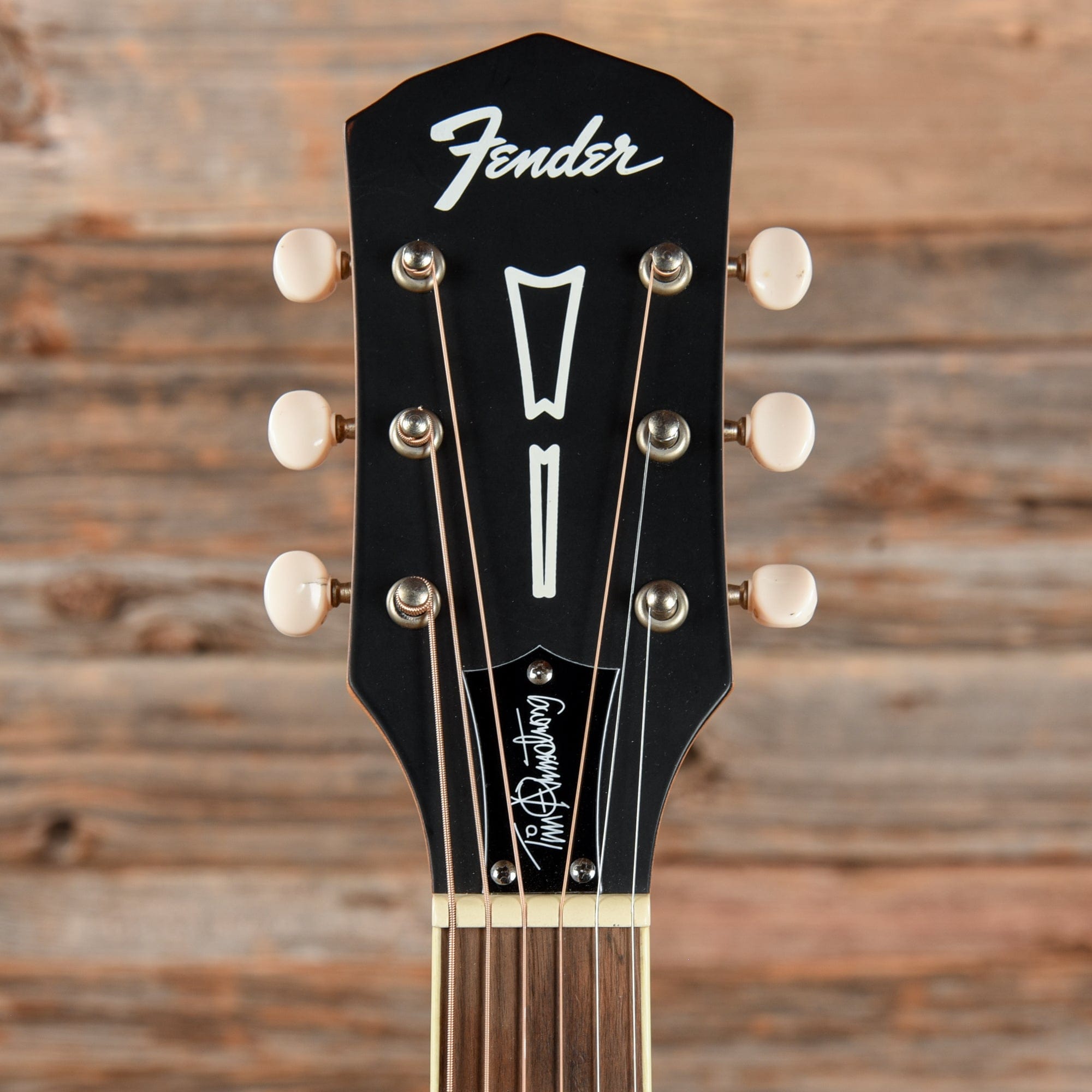 Fender Tim Armstrong Signature Hellcat Rosewood