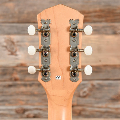 Fender Tim Armstrong Signature Hellcat Rosewood
