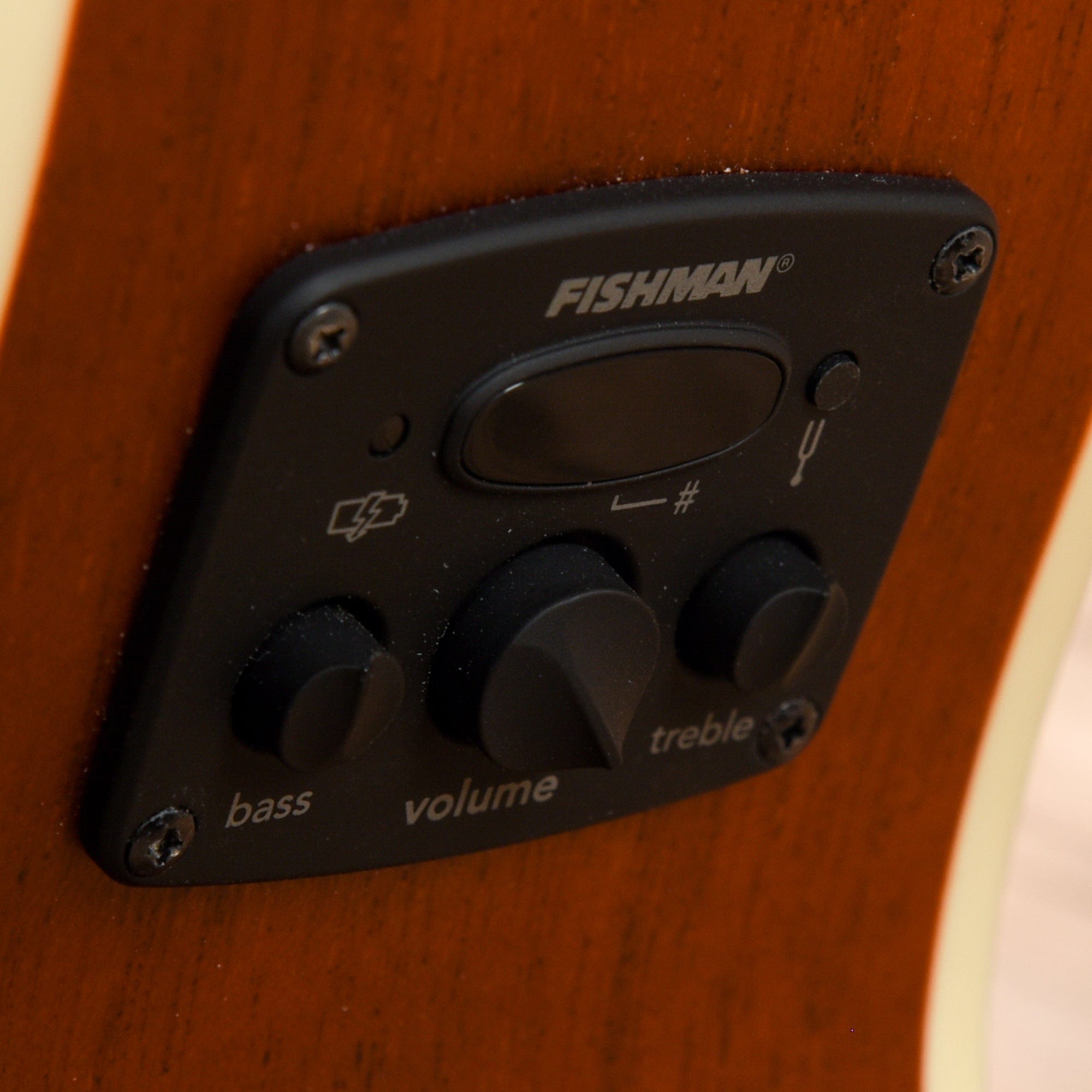 Fender Tim Armstrong Signature Hellcat Rosewood