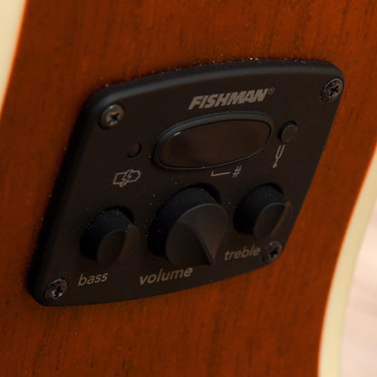 Fender Tim Armstrong Signature Hellcat Rosewood