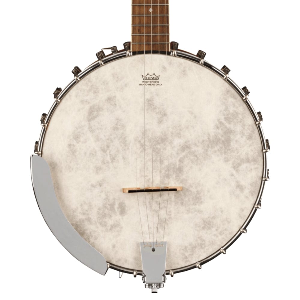 Fender Paramount PB-180E Banjo Natural Folk Instruments / Banjos