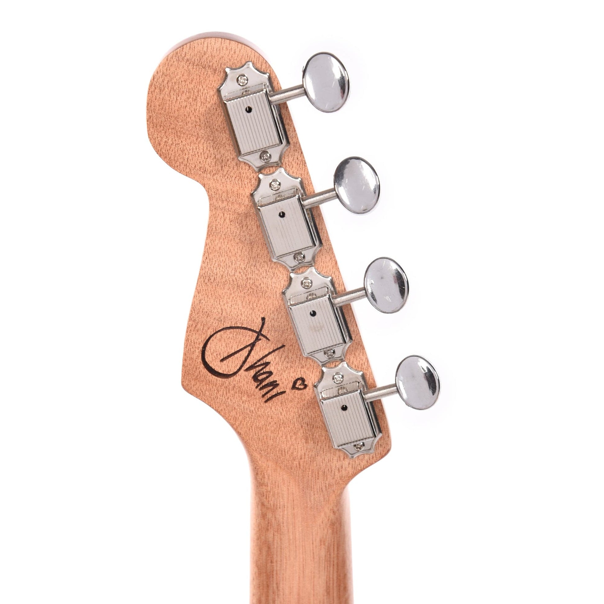 Fender Artist Dhani Harrison Uke Turquoise Folk Instruments / Ukuleles