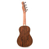 Fender Zuma Concert Ukulele Bocote Folk Instruments / Ukuleles