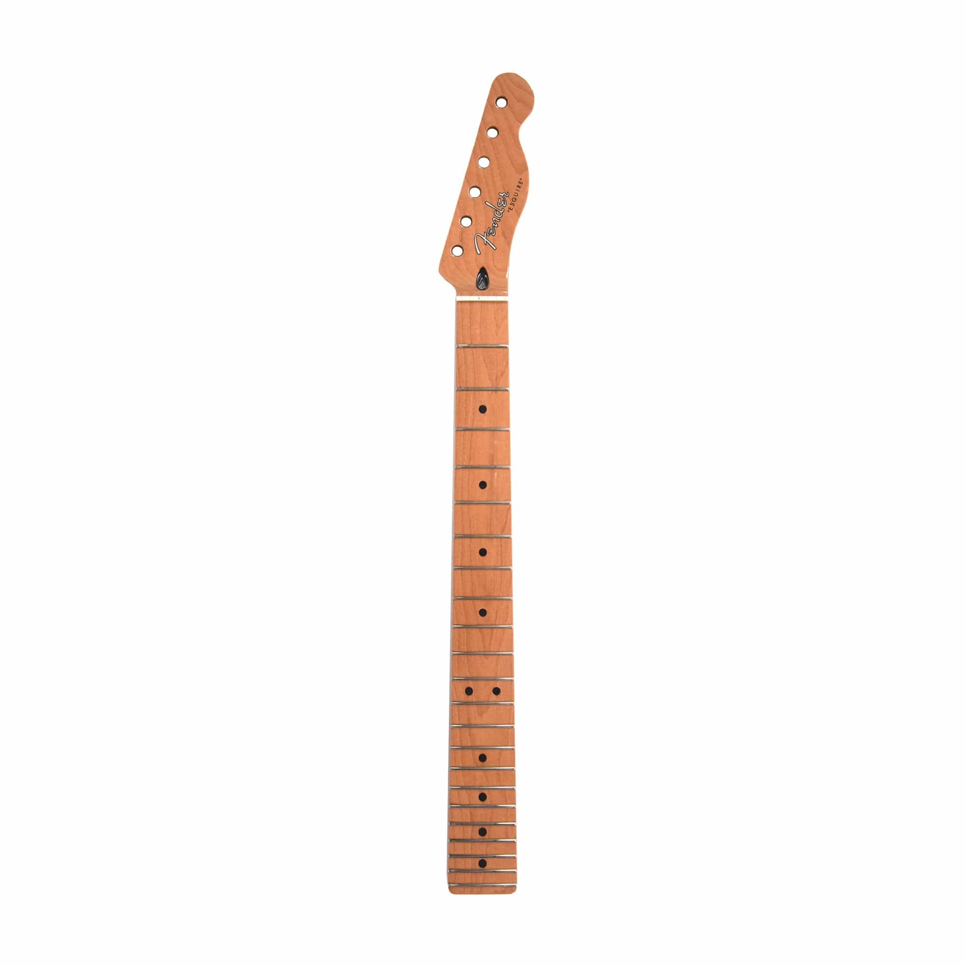 Fender 50's Modified Esquire Neck 22 Narrow Tall Frets 9.5" U Shape Roasted Maple Parts / Guitar Parts / Necks