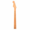 Fender Player Plus Stratocaster Neck Maple Fingerboard Parts / Guitar Parts / Necks
