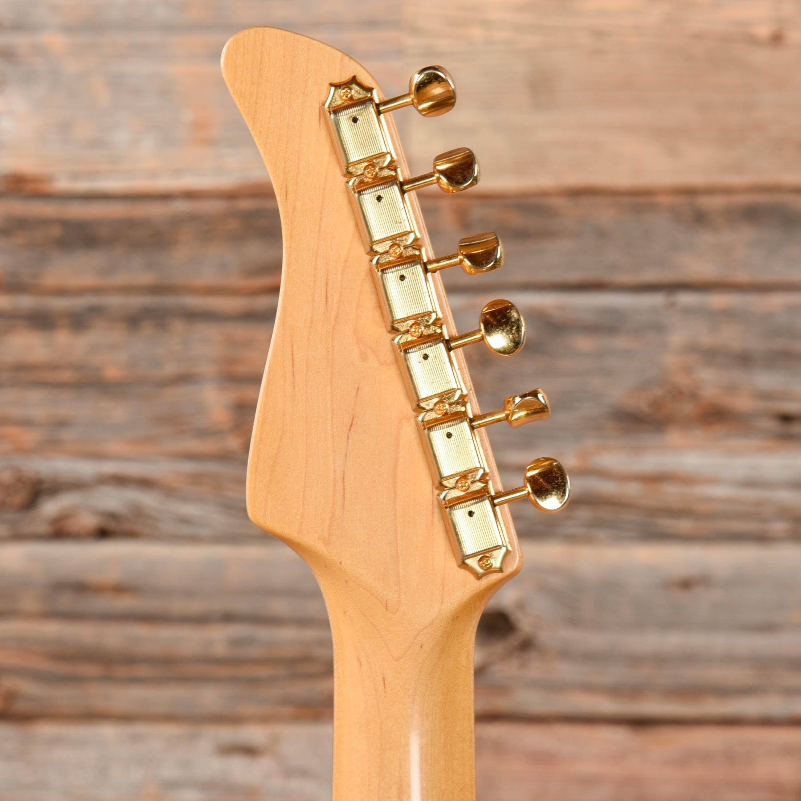 Fernandes LE-2G – Chicago Music Exchange