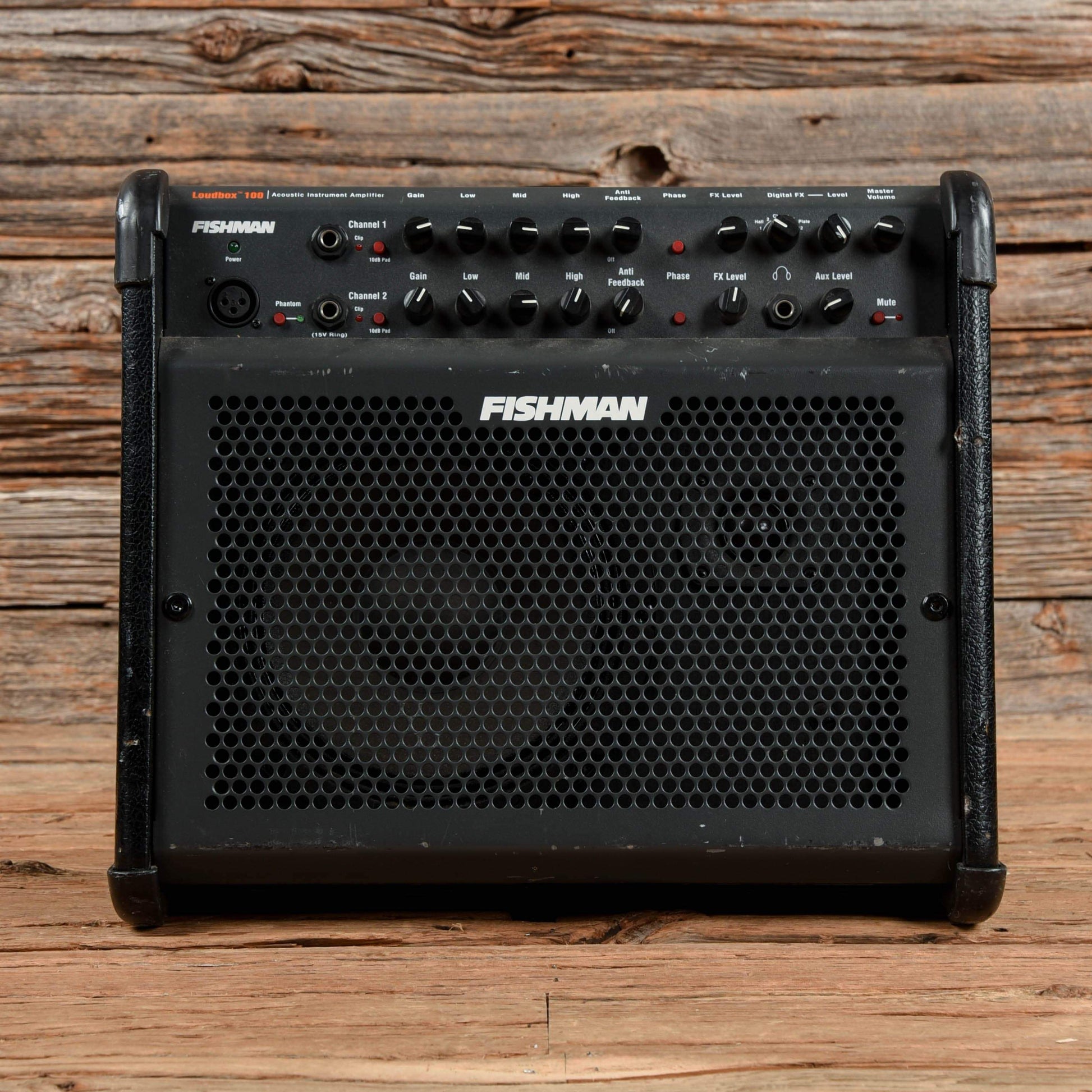 Fishman Loudbox 100 Acoustic Combo Amps / Guitar Combos