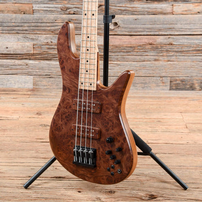 Fodera Viceroy Deluxe 4 Burmese Sal Top Roasted Ash Body w/Birdseye Maple Fingerboard Bass Guitars / 4-String