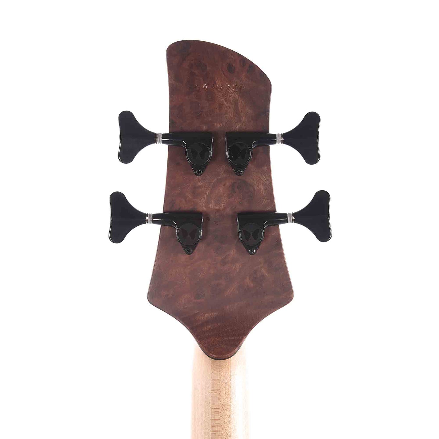 Fodera Viceroy Elite 4 Burmese Sal Top Roasted Ash Body w/Birdseye Maple Fingerboard Bass Guitars / 4-String