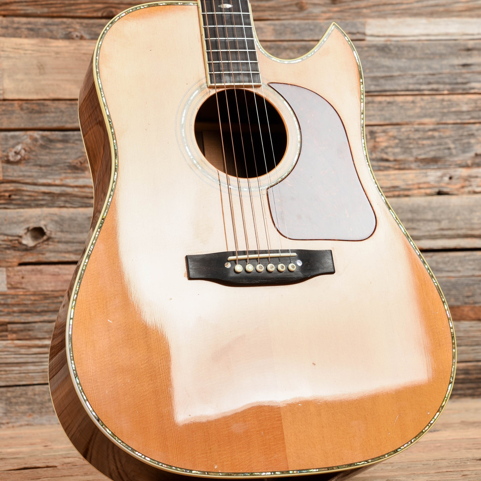 Gallagher 72 Special Natural 1982 Acoustic Guitars / OM and Auditorium