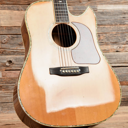 Gallagher 72 Special Natural 1982 Acoustic Guitars / OM and Auditorium