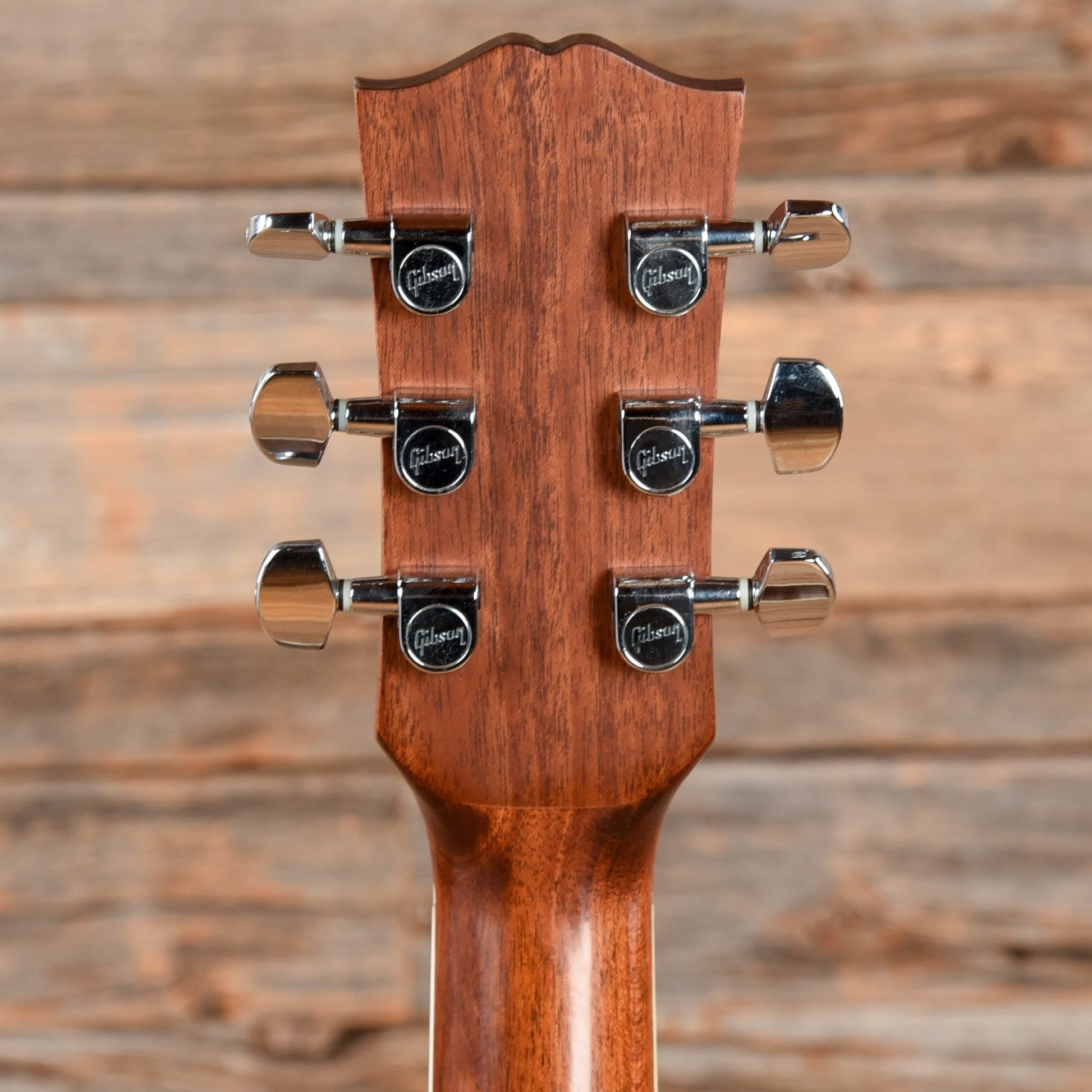 Gibson DSR Natural 2008 Acoustic Guitars / Dreadnought