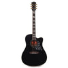 Gibson Jerry Cantrell Signature "Fire Devil" Songwriter Ebony Acoustic Guitars / Dreadnought