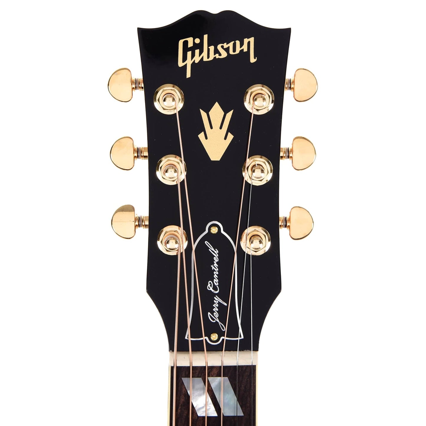 Gibson Jerry Cantrell Signature "Fire Devil" Songwriter Ebony Acoustic Guitars / Dreadnought