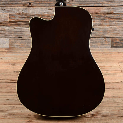 Gibson Montana Hummingbird Pro Sunburst 2009 Acoustic Guitars / Dreadnought