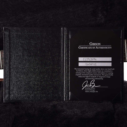 Gibson Memphis ES-339 Studio Ebony Electric Guitars / Semi-Hollow