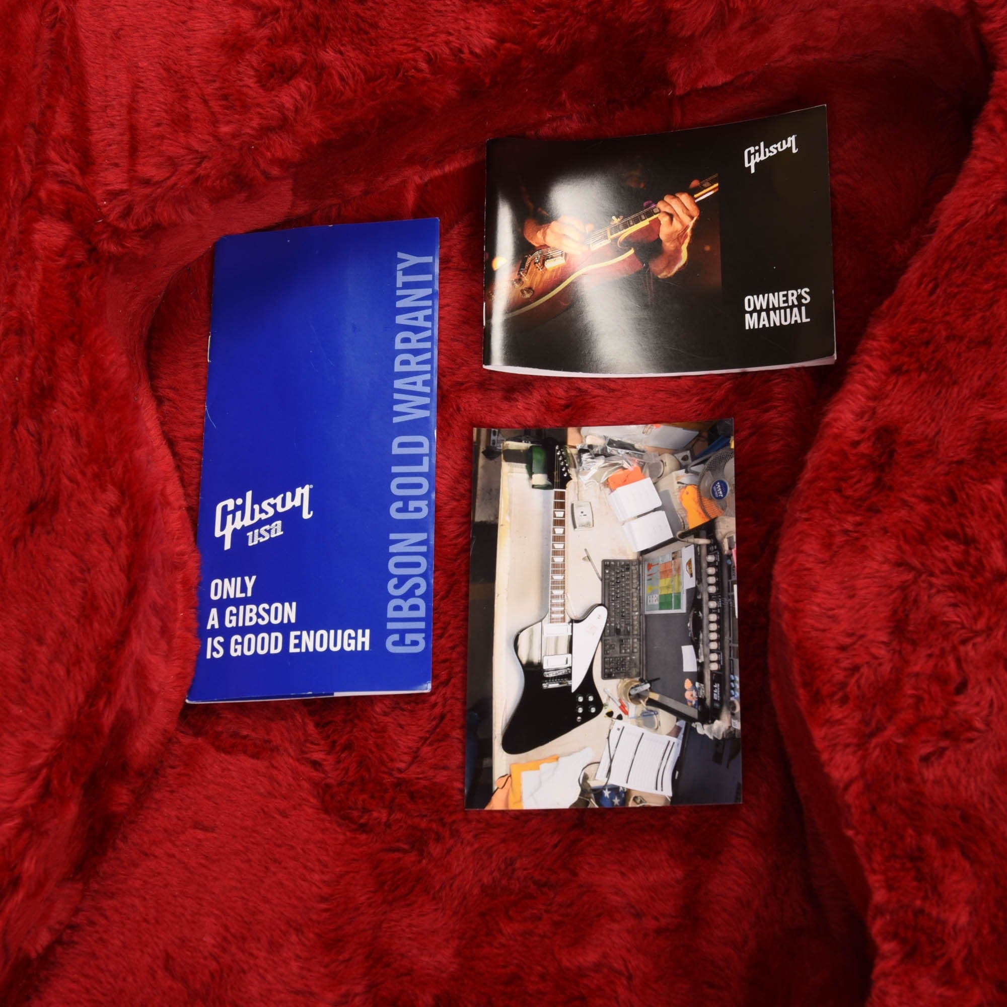 Gibson Firebird Ebony 2018 Electric Guitars / Solid Body