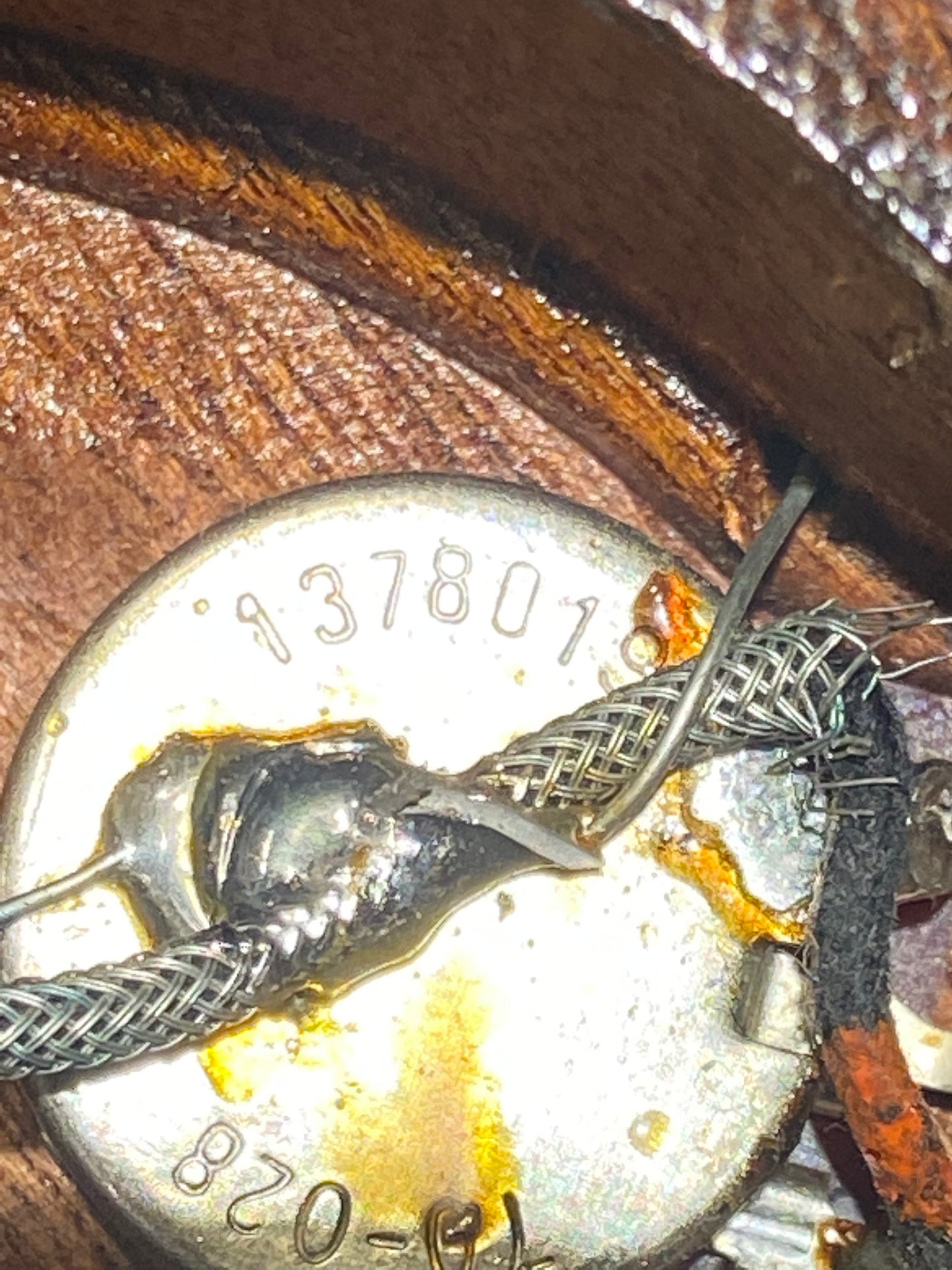 Gibson Firebrand "The Paul" Walnut 1981 Electric Guitars / Solid Body